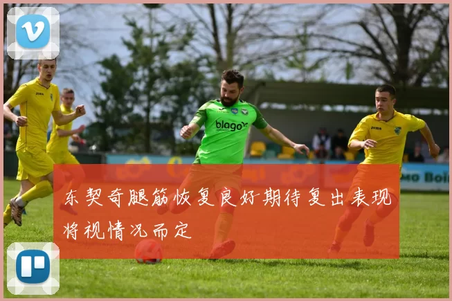东契奇腿筋恢复良好期待复出表现将视情况而定